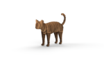 Cat 3D Wodden Puzzle |FSCAT| FATHERSON - Image 5